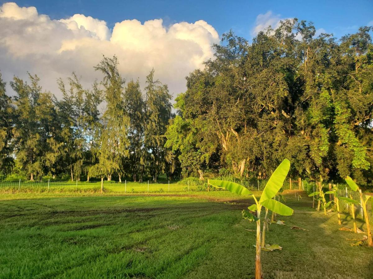Maleka Farm: Tent Glamping North Shore Oahu Laie Ngoại thất bức ảnh